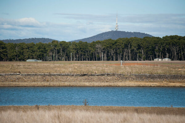 View of Black Mountain at the southern end of the Ginninderra site.