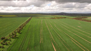 Aerial view of Boorowa Farm