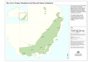 Distribution of Box-Gum Grassy Woodlands.