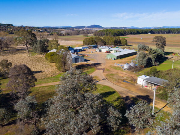 Ginninderra_DJI_0005