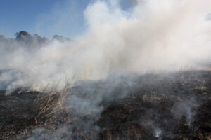 Image of smoke from bushfires coming off landscape