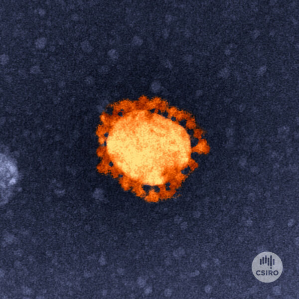 COVID-19 virus cell close up