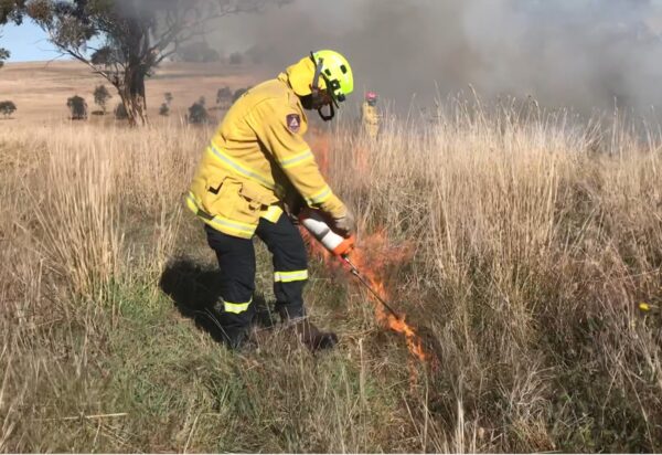 A fire fighter wearing yellow burning a field of grass. 