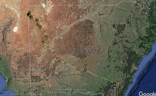 A map of NSW outlining the male little eagles journey with yellow dots.