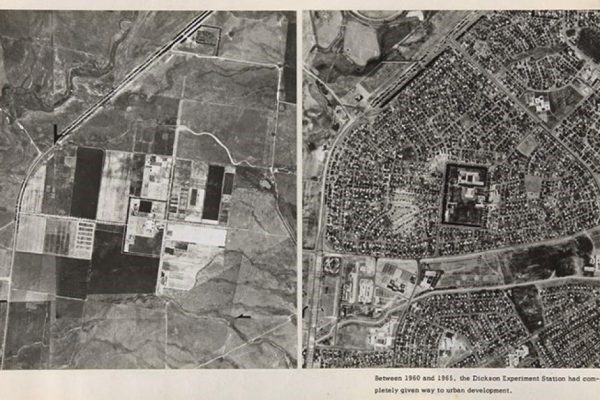 Old black and white map of Ginninderra
